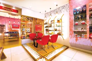 Reubeneric Design Pvt. Ltd. project