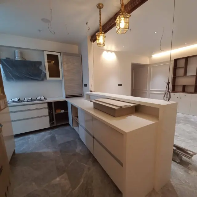 Shree Designs3 project 4
